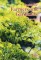 English for Farmers and Gardeners